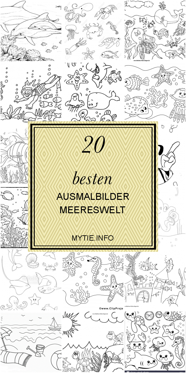 20 Besten Ausmalbilder Meereswelt